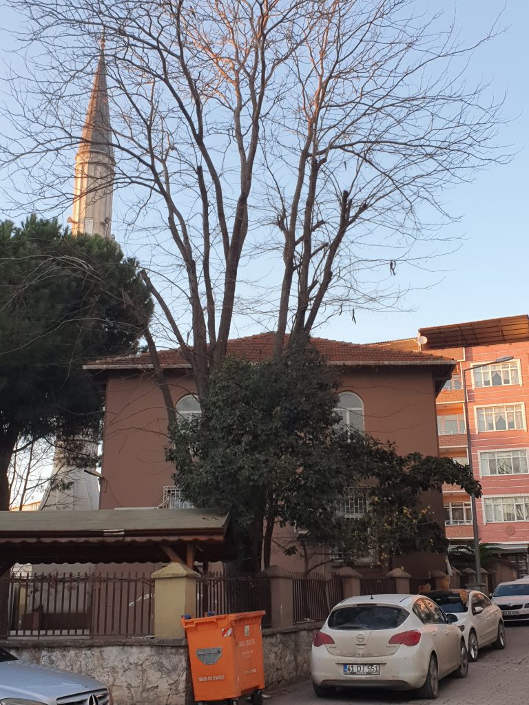 Eski Cami Eski Cami