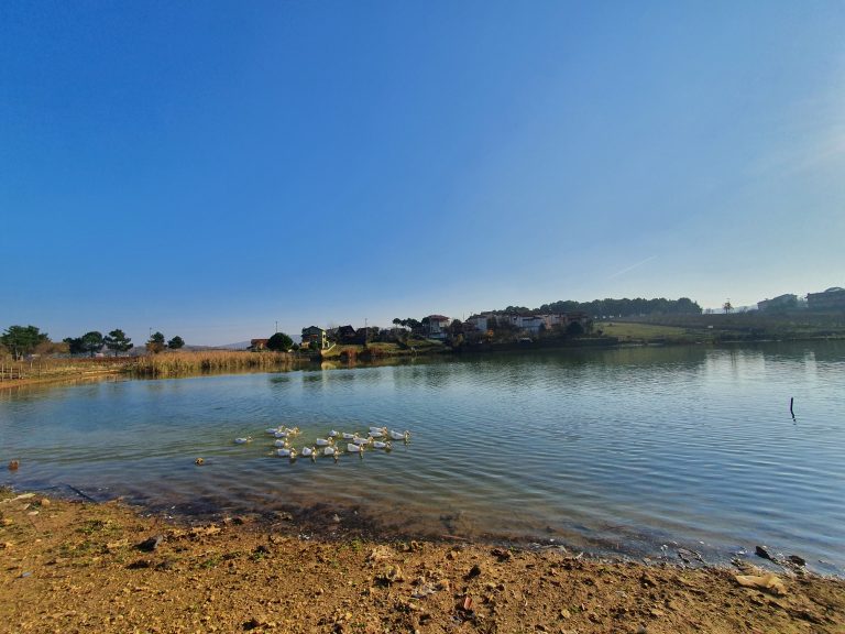 Bağırganlı Göleti Bağırganlı Göleti