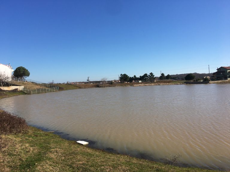 Bağırganlı Göleti Bağırganlı Göleti