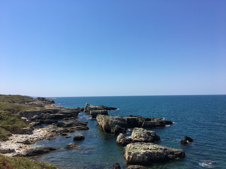 Bağırganlı Bağırganlı