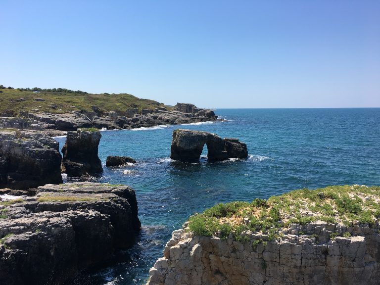 Bağırganlı Bağırganlı
