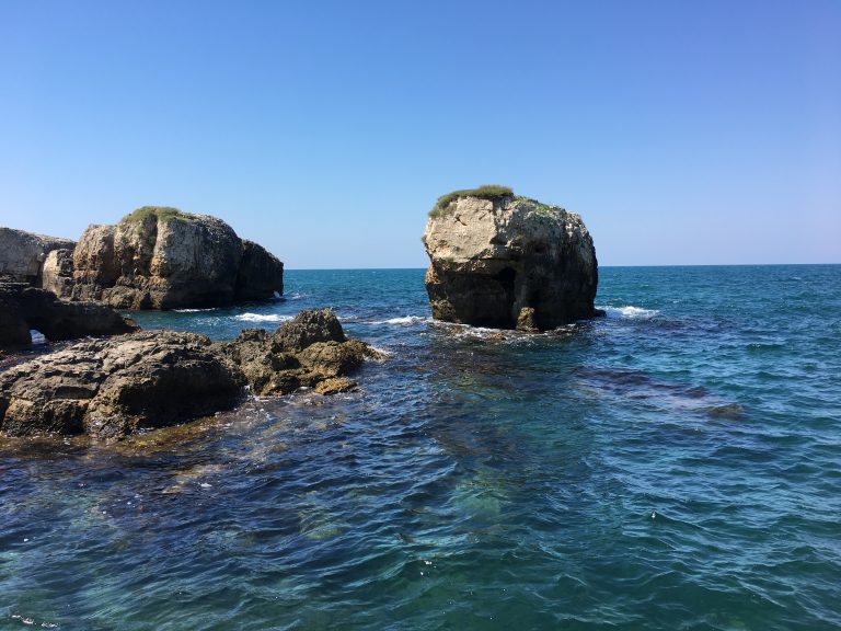 Bağırganlı Bağırganlı
