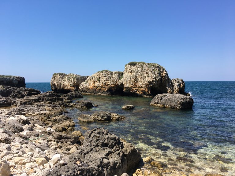 Bağırganlı Bağırganlı