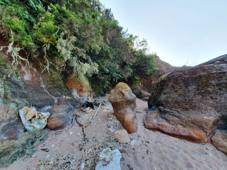 Eski Kerpe Burnu Civari 8 768x576