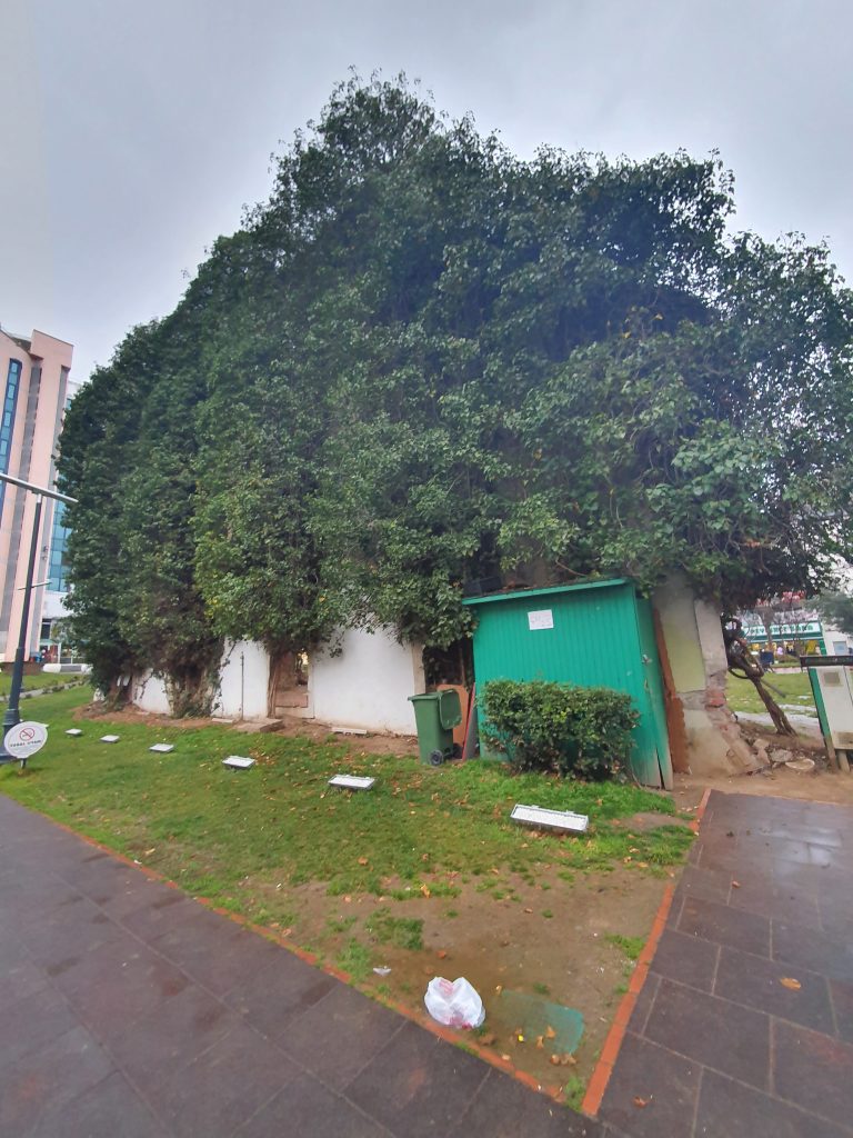 İzmit Tekel Binası İzmit Tekel Binası