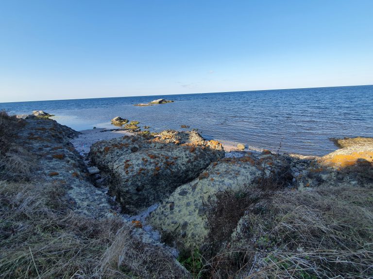 Kefken Adasi Plaj Kumsal Kayalik 24 768x576