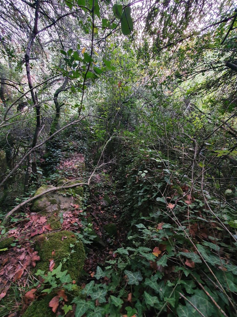 Sekbanli Su Kemeri 15 768x1024