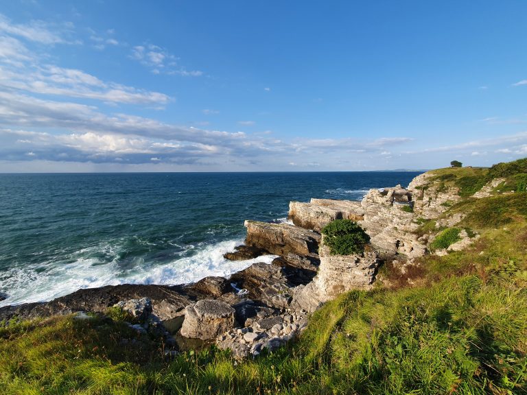 Seyrekte Bir Koy 6 768x576