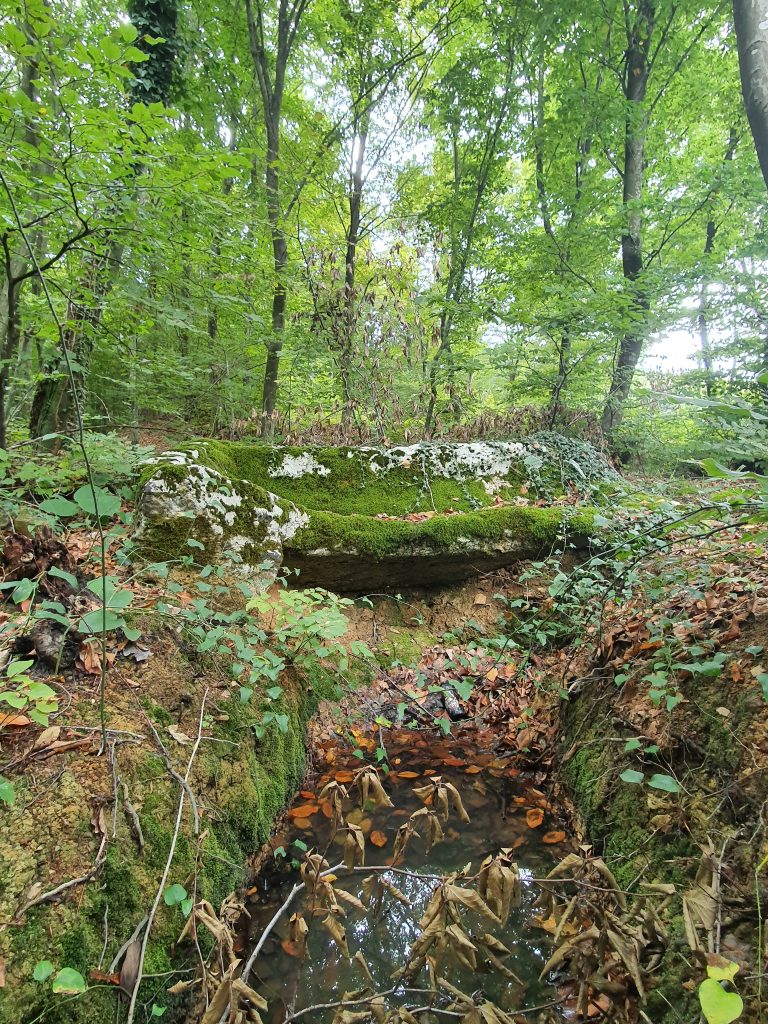 Kubuzcu Azakli Lahit Kapagi 7 768x1024