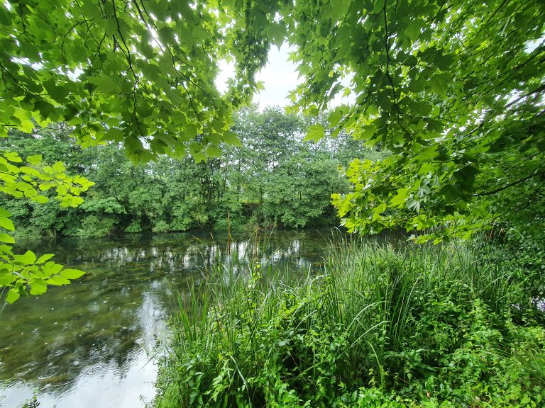 Pasadagi Mesire Alani 10 768x576