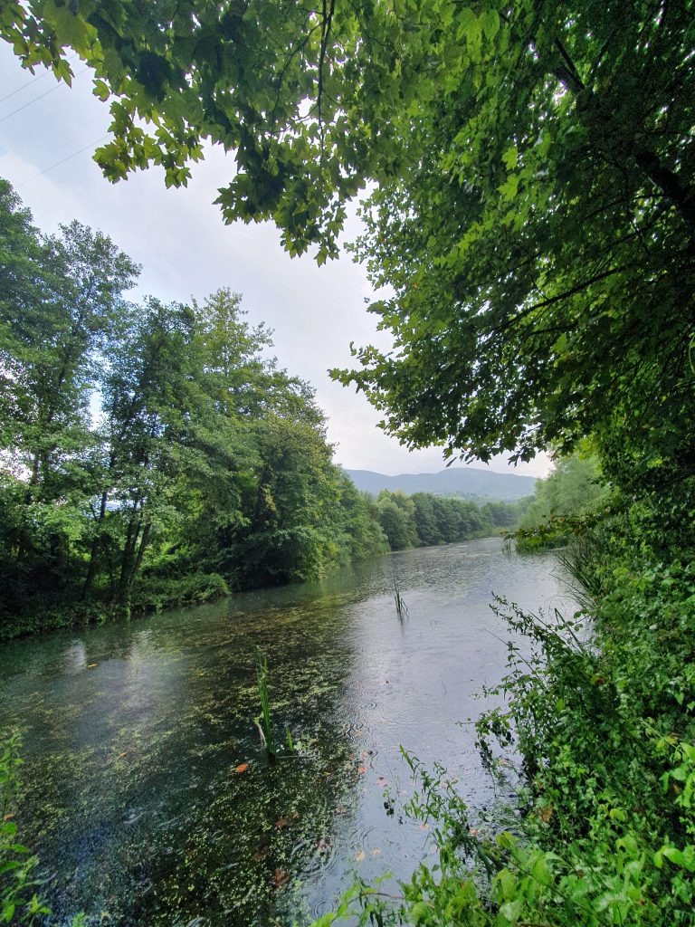 Pasadagi Mesire Alani 2 768x1024