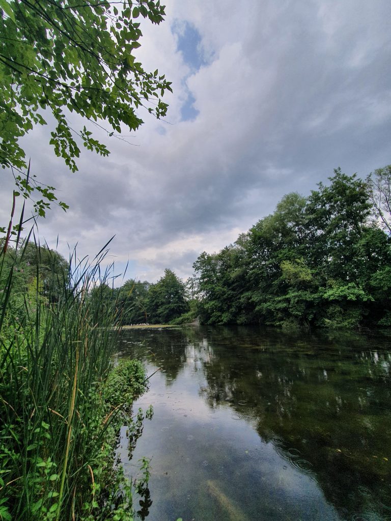 Pasadagi Mesire Alani 3 768x1024