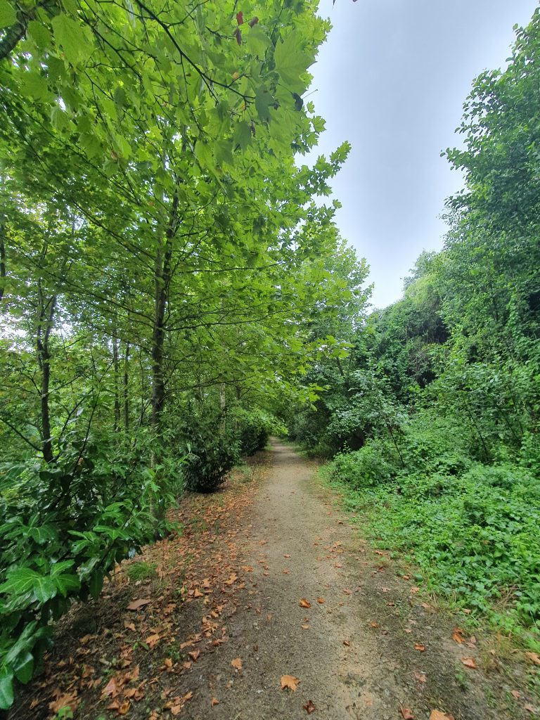 Pasadagi Mesire Alani 6 768x1024