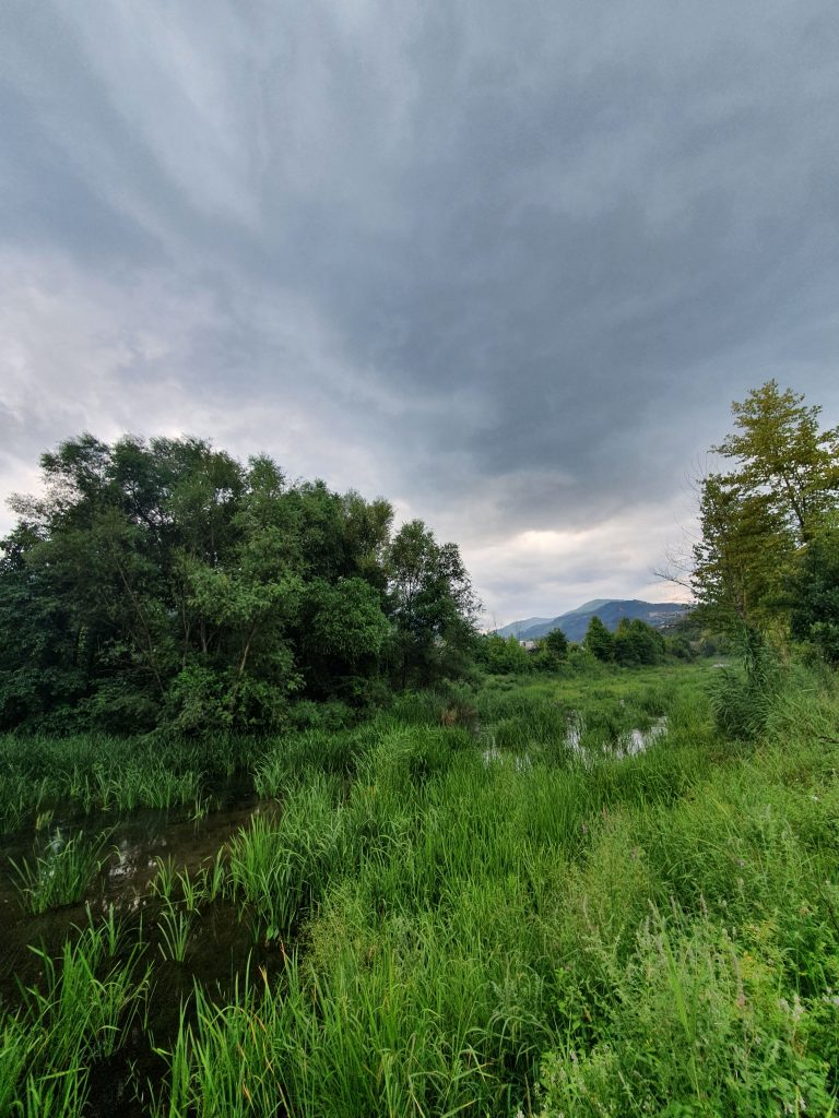 Pasadagi Mesire Alani 7 768x1024