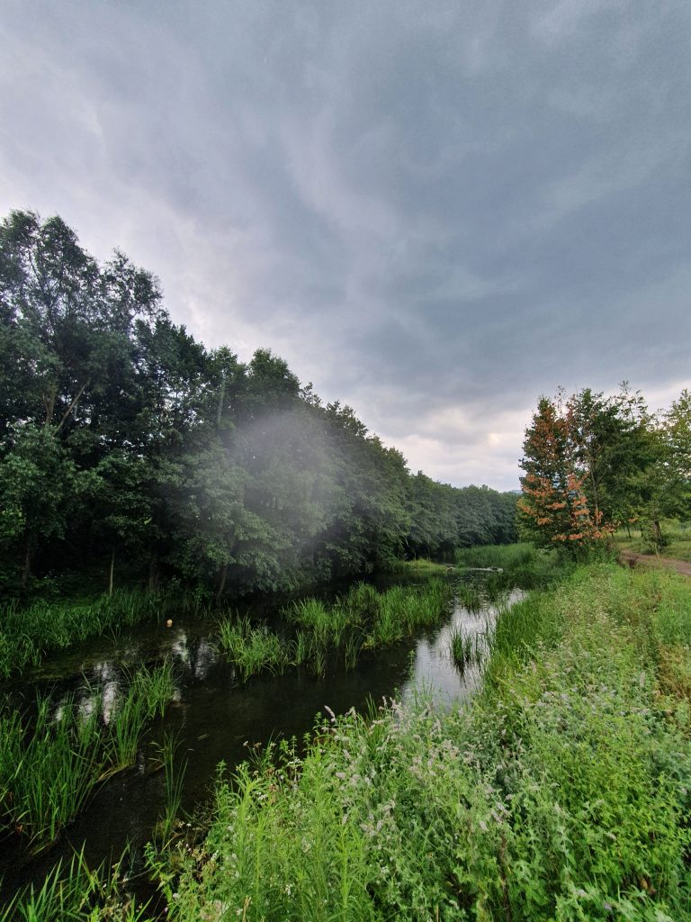 Pasadagi Mesire Alani 8 768x1024