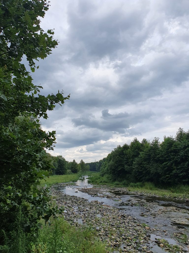 Pasadagi Mesire Alani 9 768x1024