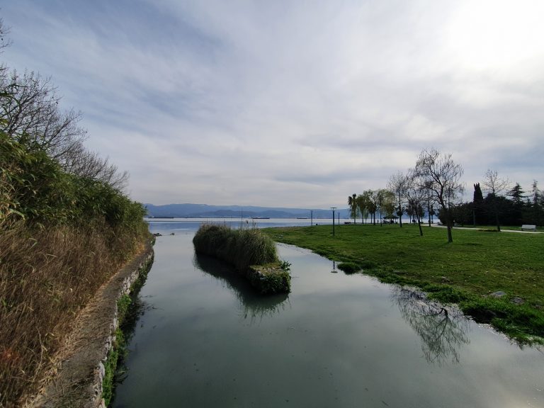 Seka Park 11 1 768x576