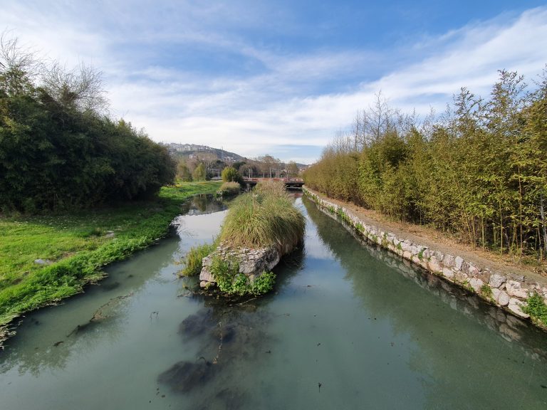 Seka Park 12 1 768x576