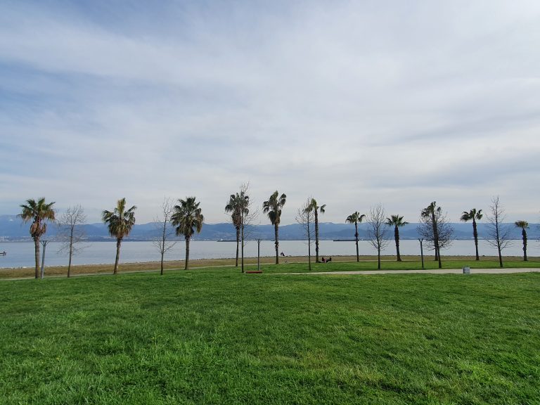 Seka Park 15 1 768x576