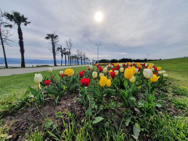Seka Park 16 1 768x576