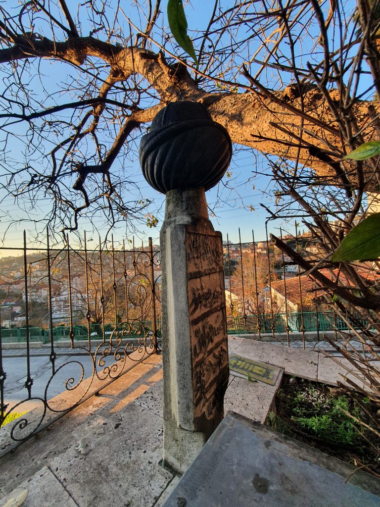 ESE DEDE TURBESI 9 768x1024