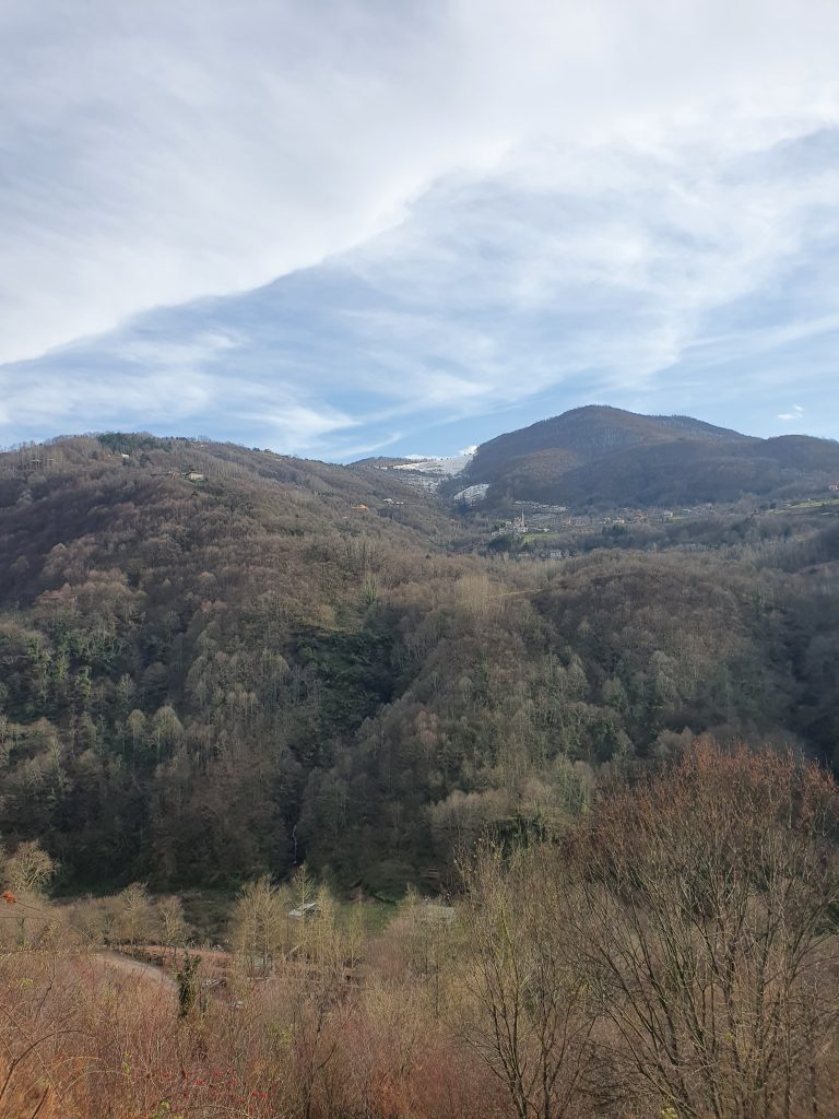 Caglayan Selalesi 11 768x1024