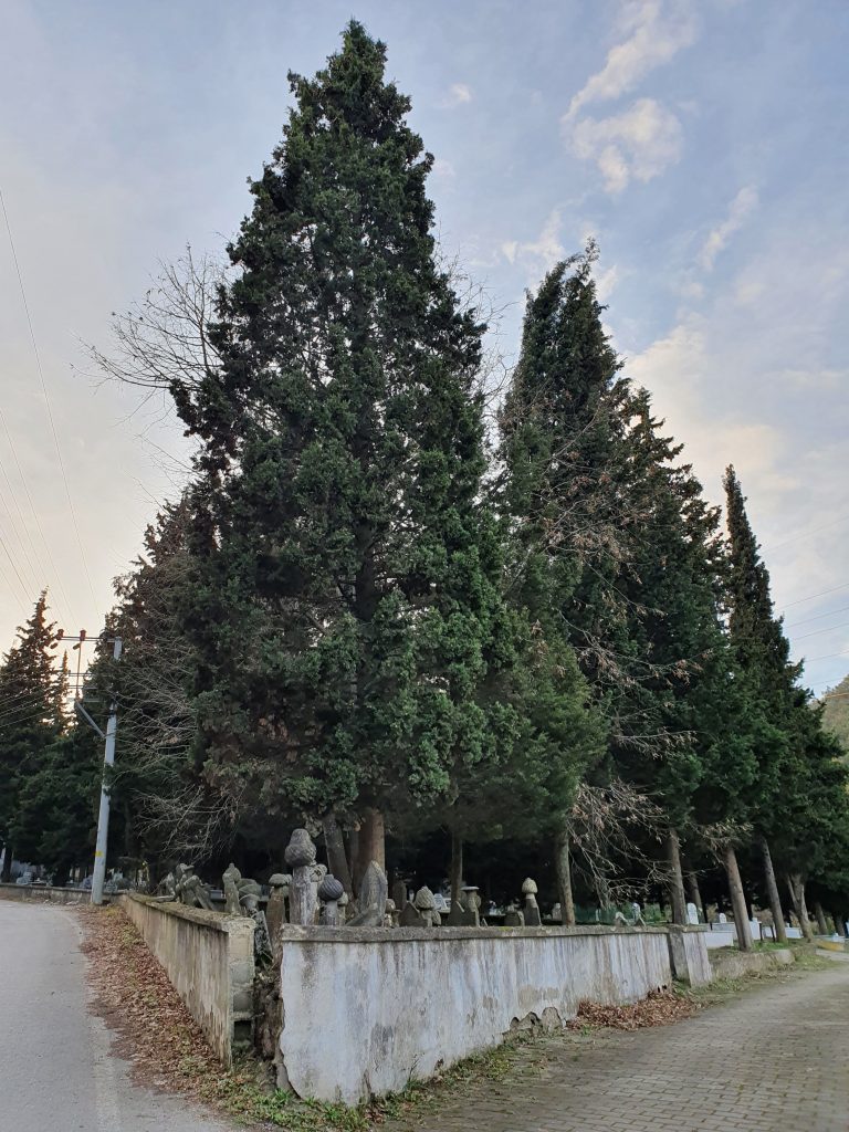 Halidere Osmanli Mezarligi 1 768x1024