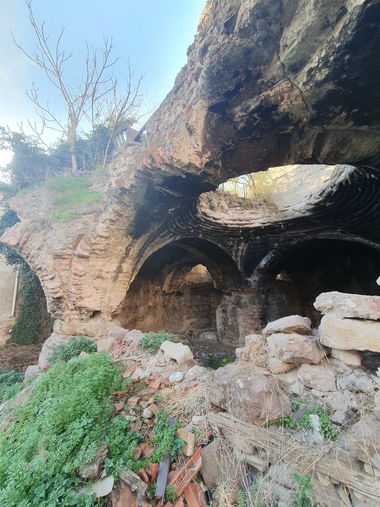 In Bayiri Sarnici 13 768x1024