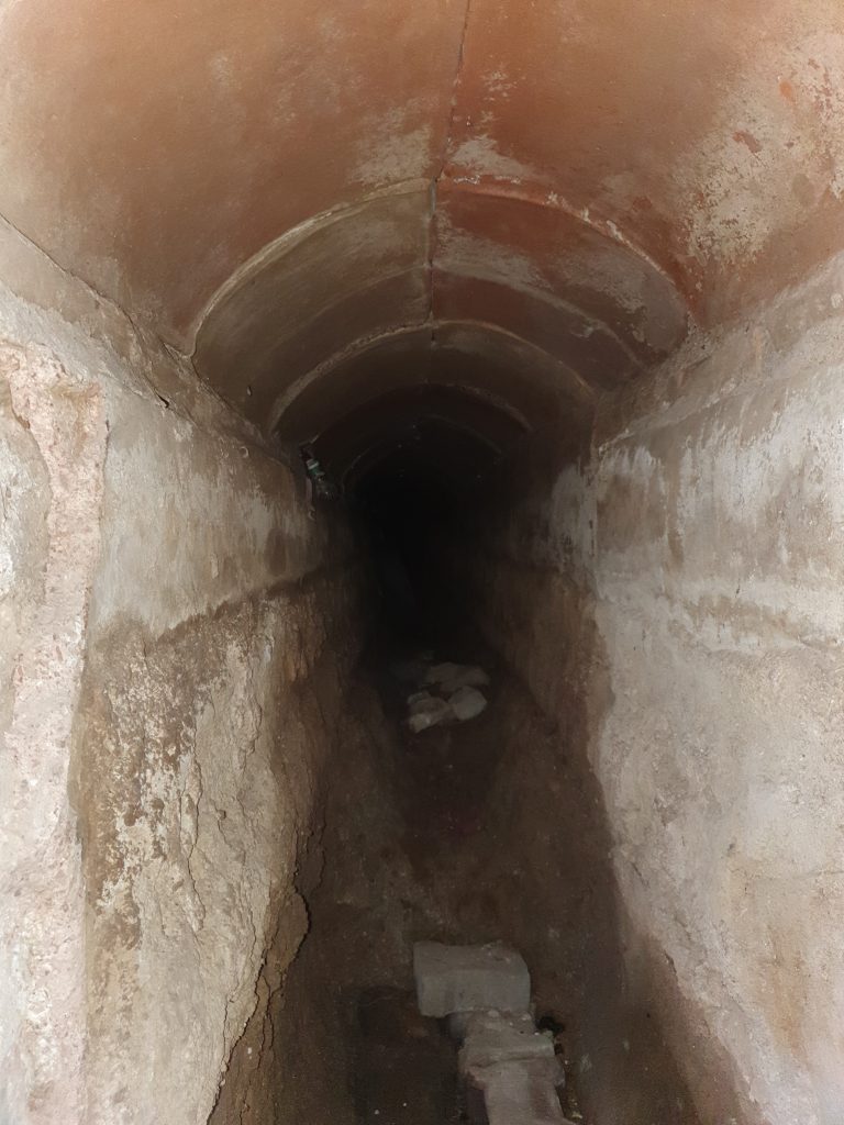 In Bayiri Sarnici 29 768x1024