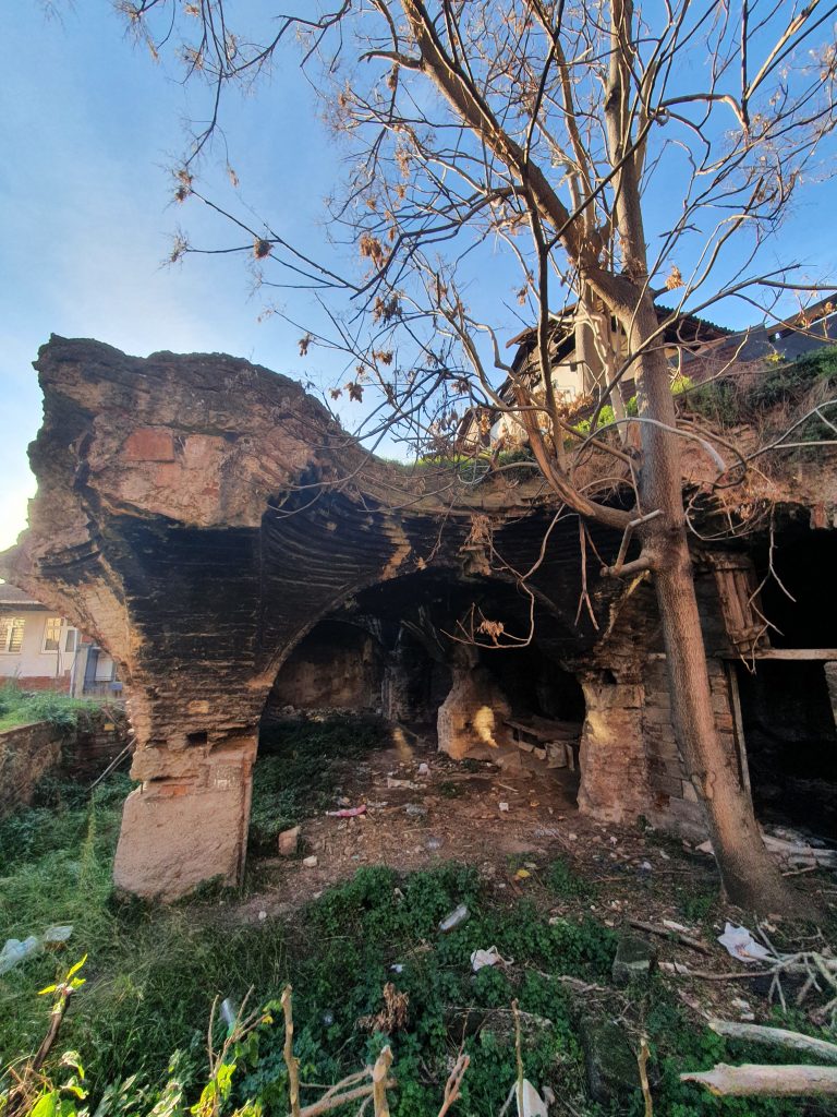 In Bayiri Sarnici 5 768x1024