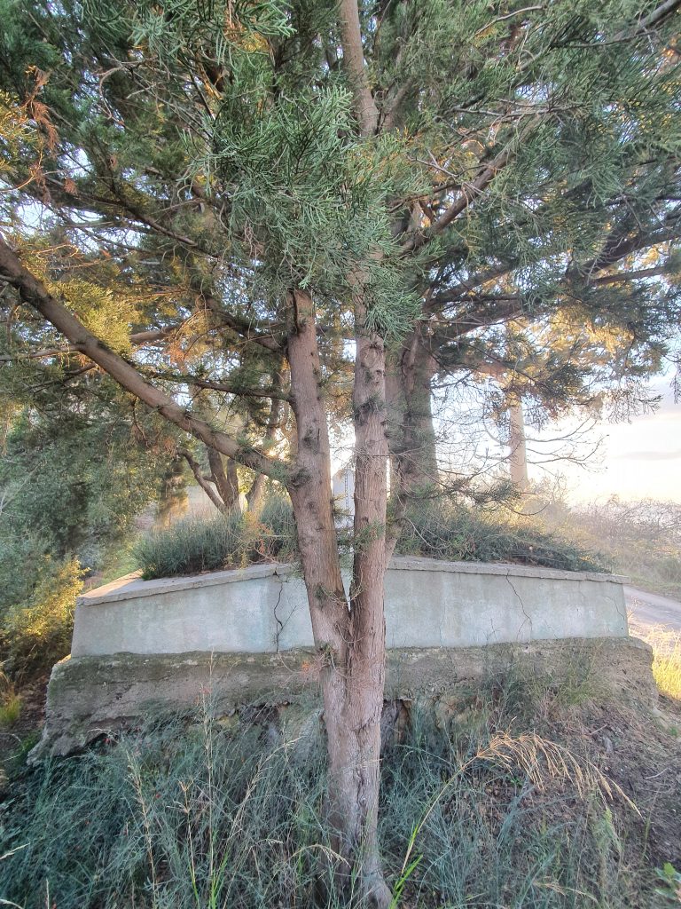 Karsu Baba Turbesi 8 768x1024