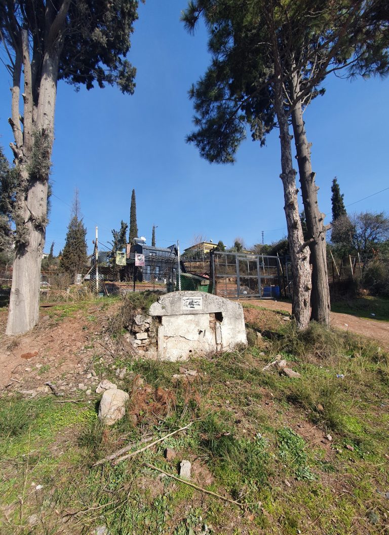 Haci Sakir Cesmesi 1 768x1056