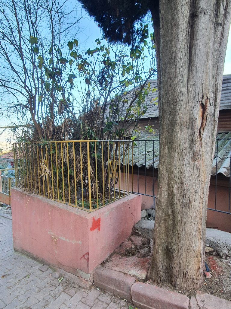 Nebi Efendi Turbesi 3 768x1024