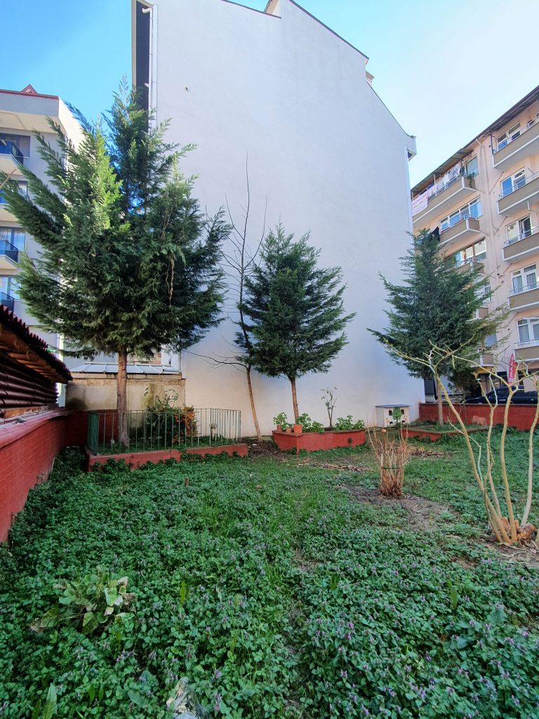 Pesin Dede Arap Dede Turbesi 2 768x1024