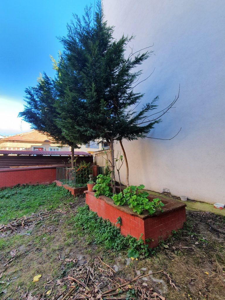 Pesin Dede Arap Dede Turbesi 3 768x1024