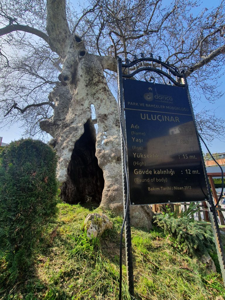 Ulucinar Darica 12 768x1024
