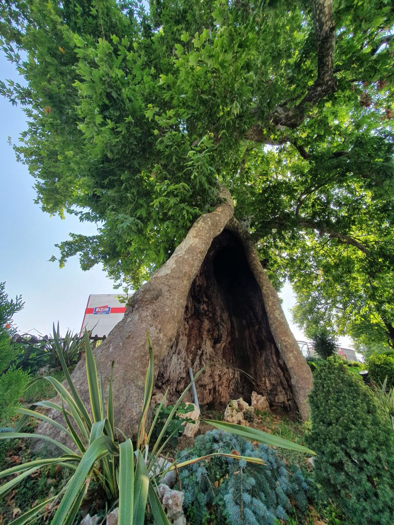 Ulucinar Darica 4 768x1024