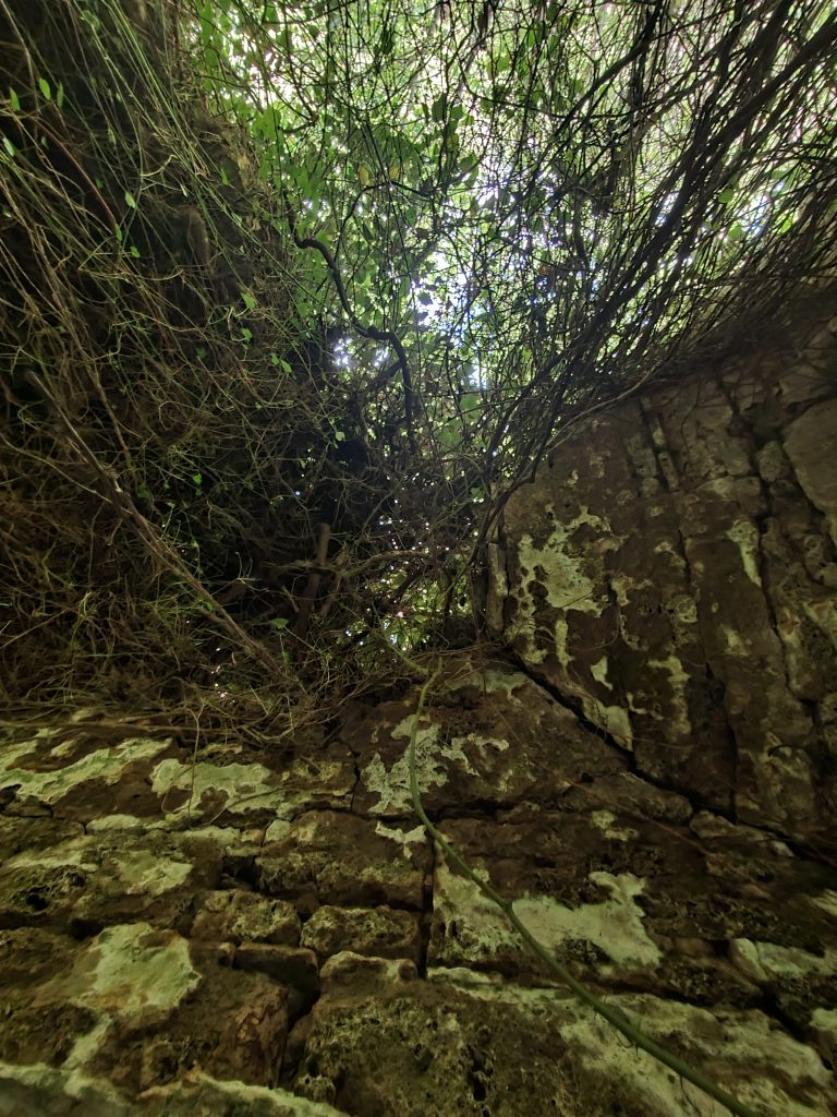 Konuklu Hamami Eregli 10 768x1024