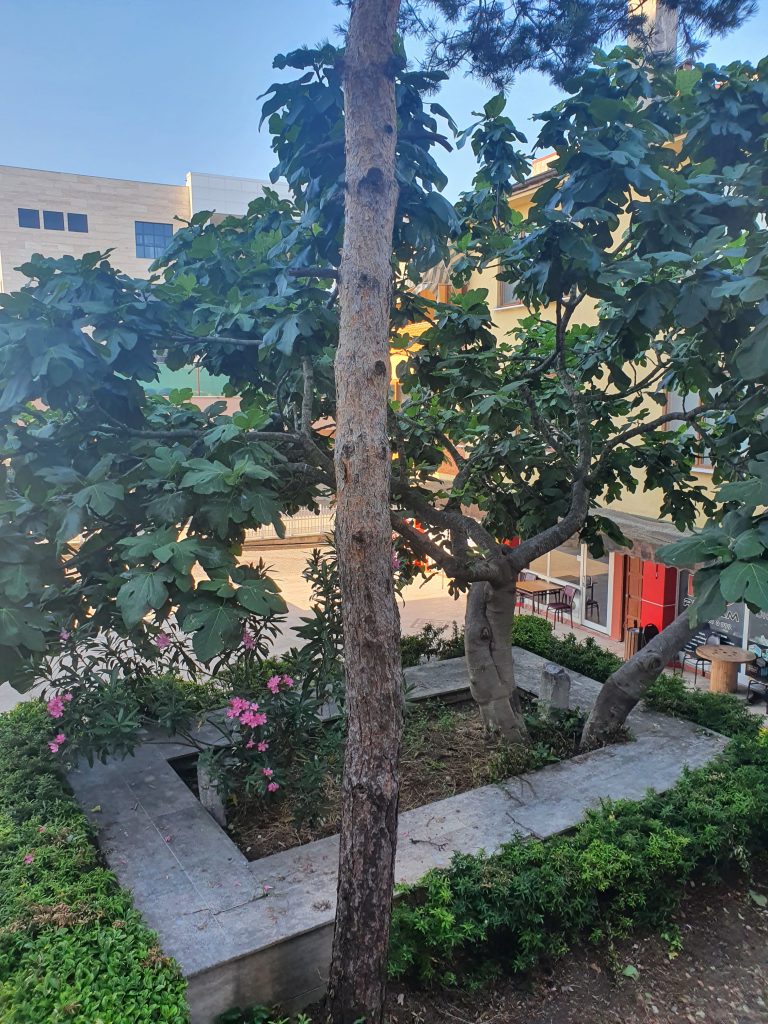 Ahlat Dede Turbesi 6 768x1024