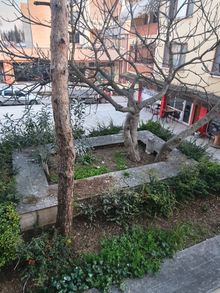 Ahlat Dede Turbesi 7 768x1024