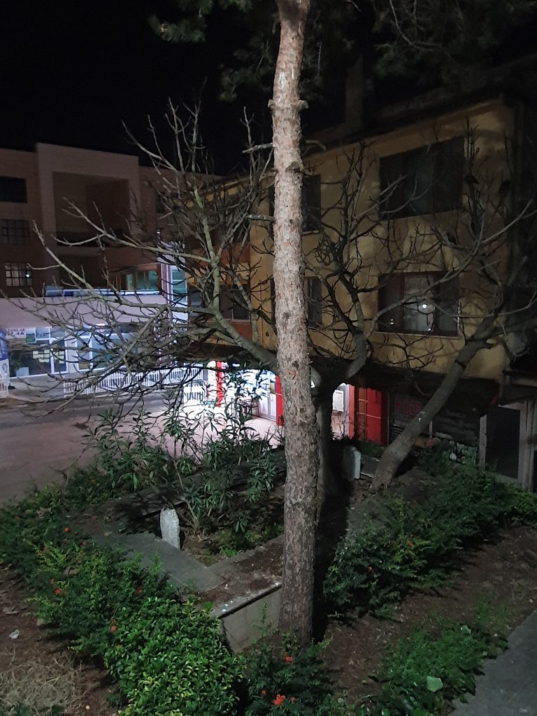 Ahlat Dede Turbesi 8 768x1024