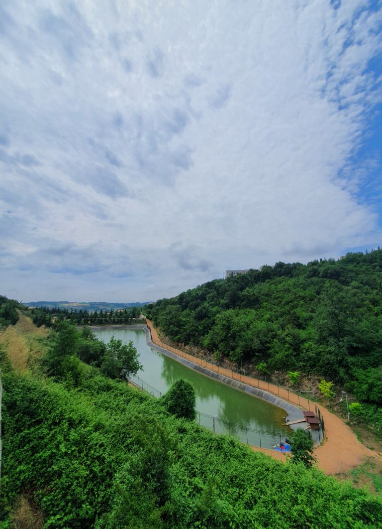 Umuttepe Golu 4 768x1062