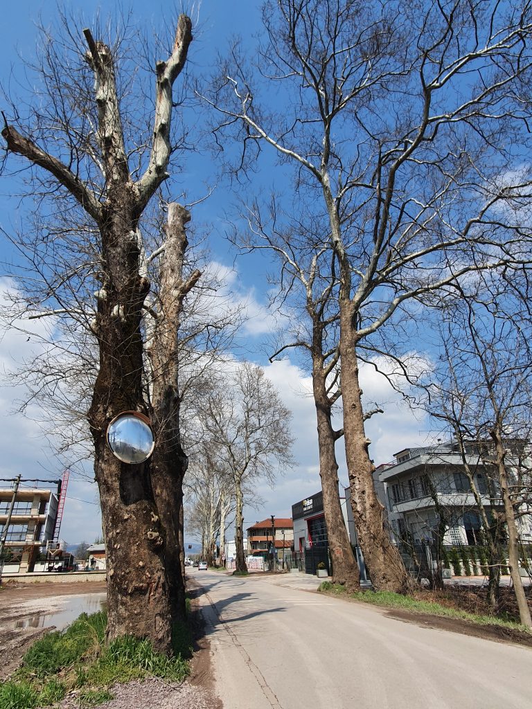 Cuhane Tarihi Cinarlar Saltanat Yolu 10 768x1024