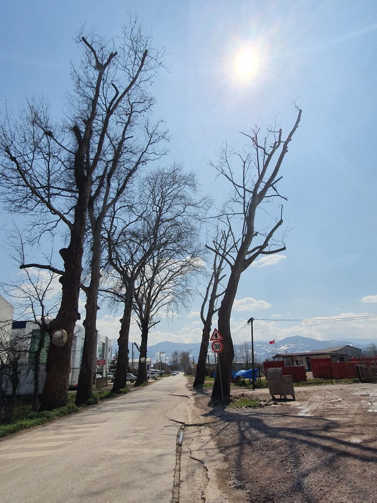 Cuhane Tarihi Cinarlar Saltanat Yolu 12 768x1024