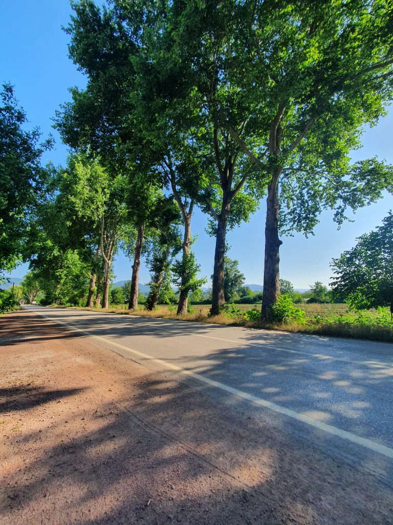 Cuhane Tarihi Cinarlar Saltanat Yolu 5 768x1024