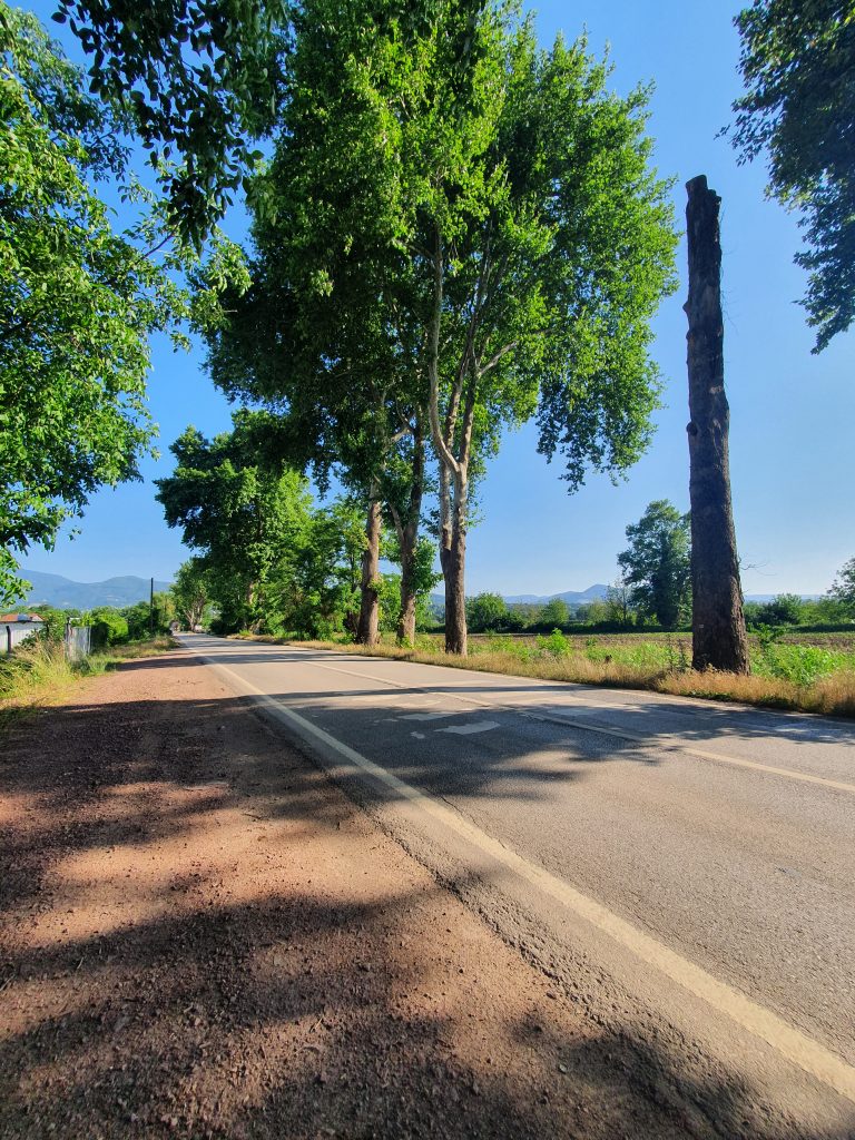 Cuhane Tarihi Cinarlar Saltanat Yolu 8 768x1024