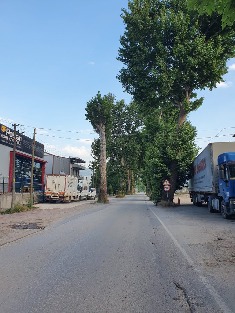 Cuhane Tarihi Cinarlar Saltanat Yolu 9 768x1024