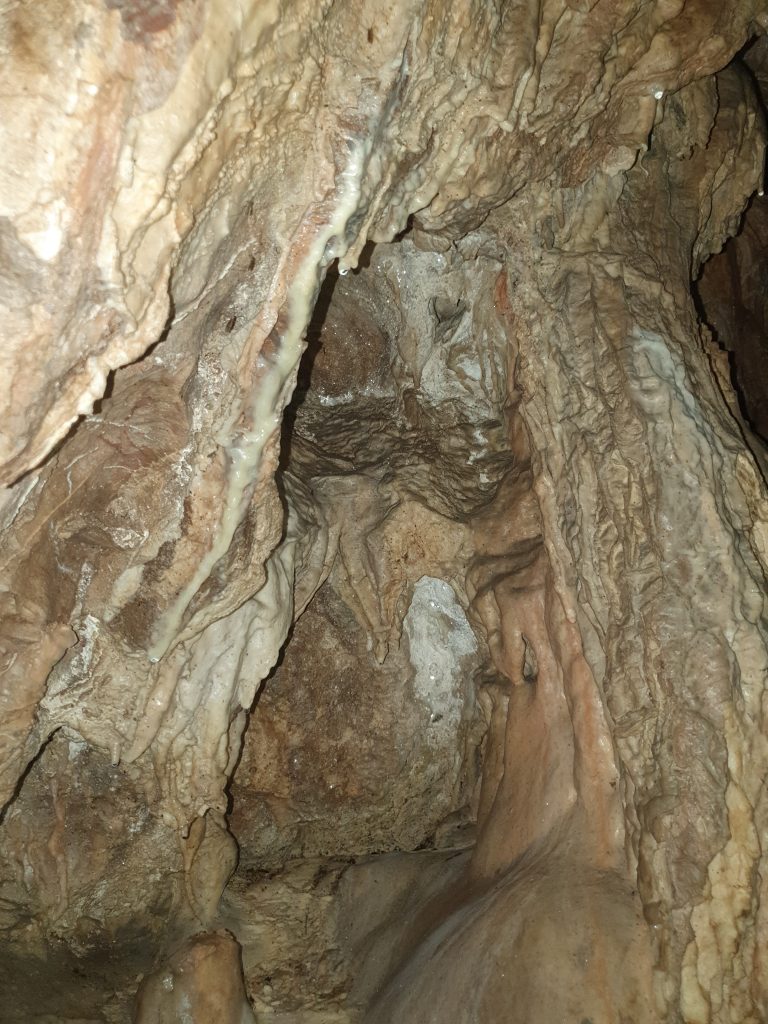 Parsik Magarasi 17 768x1024