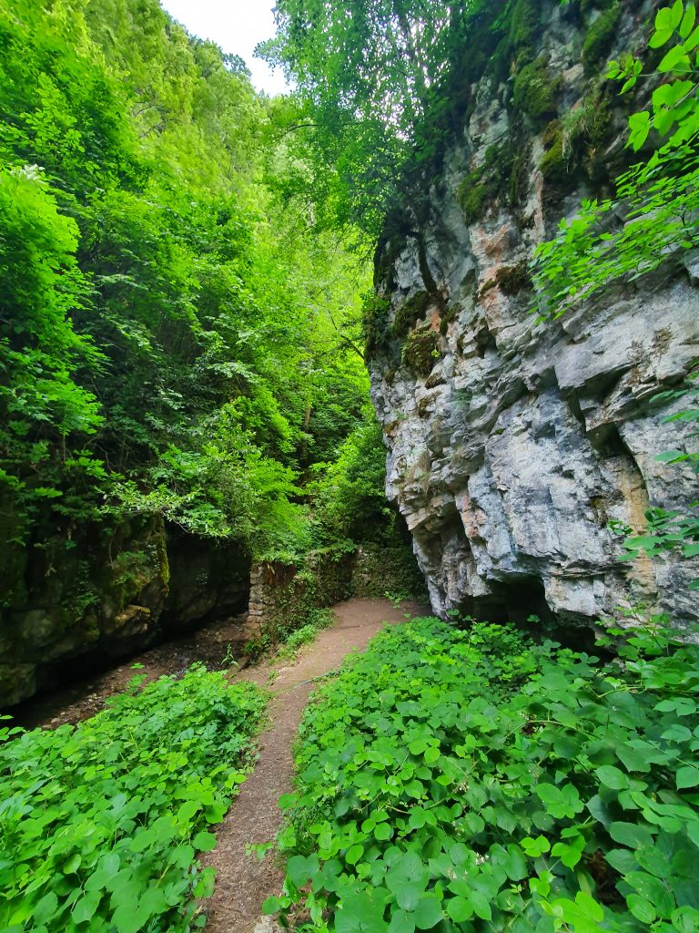 Parsik Magarasi 2 768x1024