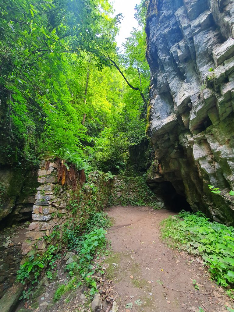 Parsik Magarasi 3 768x1024